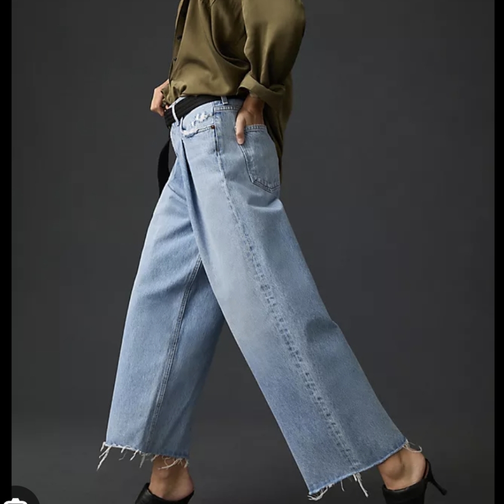Anthropologie Agolde Dagna High Rise Pleated Baggy Jeans